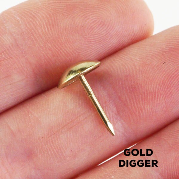 Djembe Studs Decorations Gold Digger