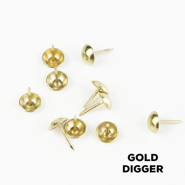 Djembe Studs Decorations Gold Digger