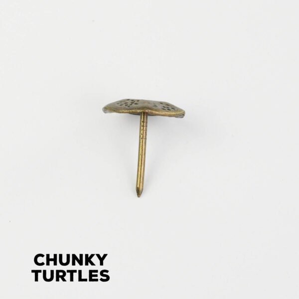 Djembe Studs Decorations Chunky Turtles