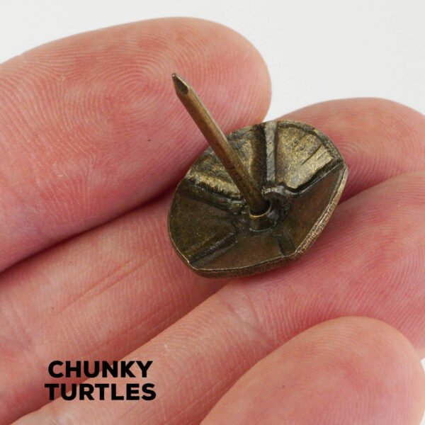 Djembe Studs Decorations Chunky Turtles
