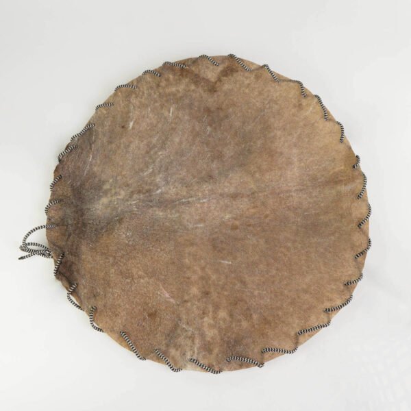 A premium djembe goat skin - pre-cut, punched and threaded.