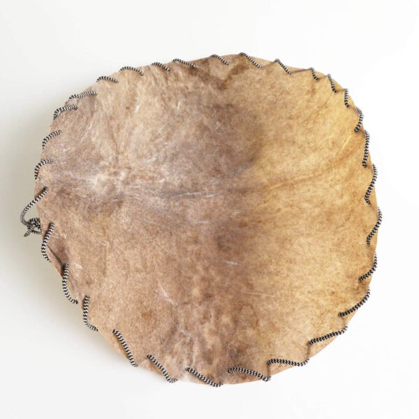 A premium djembe goat skin - pre-cut, punched and threaded.