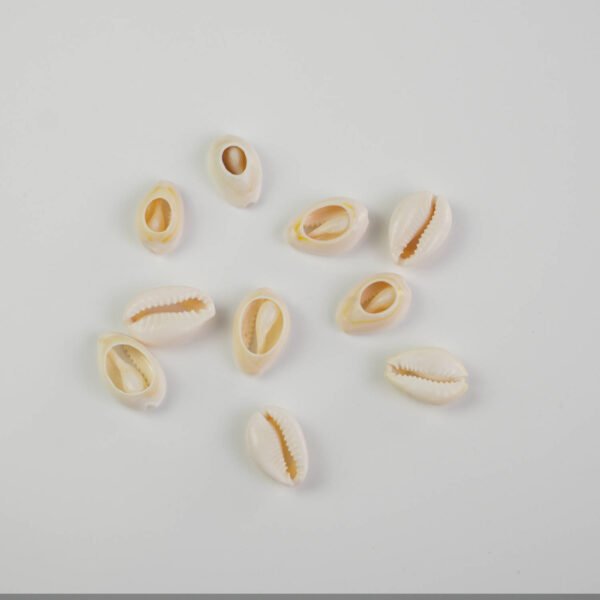 Djembe quality cowrie shells decoration